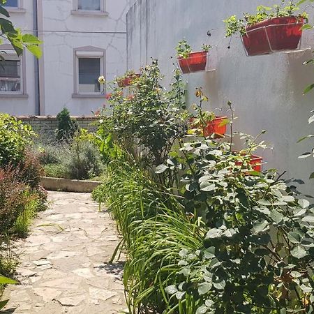 Garden Apartments Belgrad Exterior foto