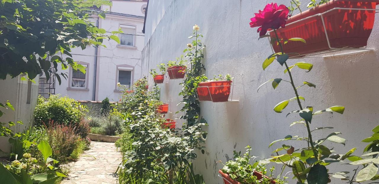 Garden Apartments Belgrad Exterior foto